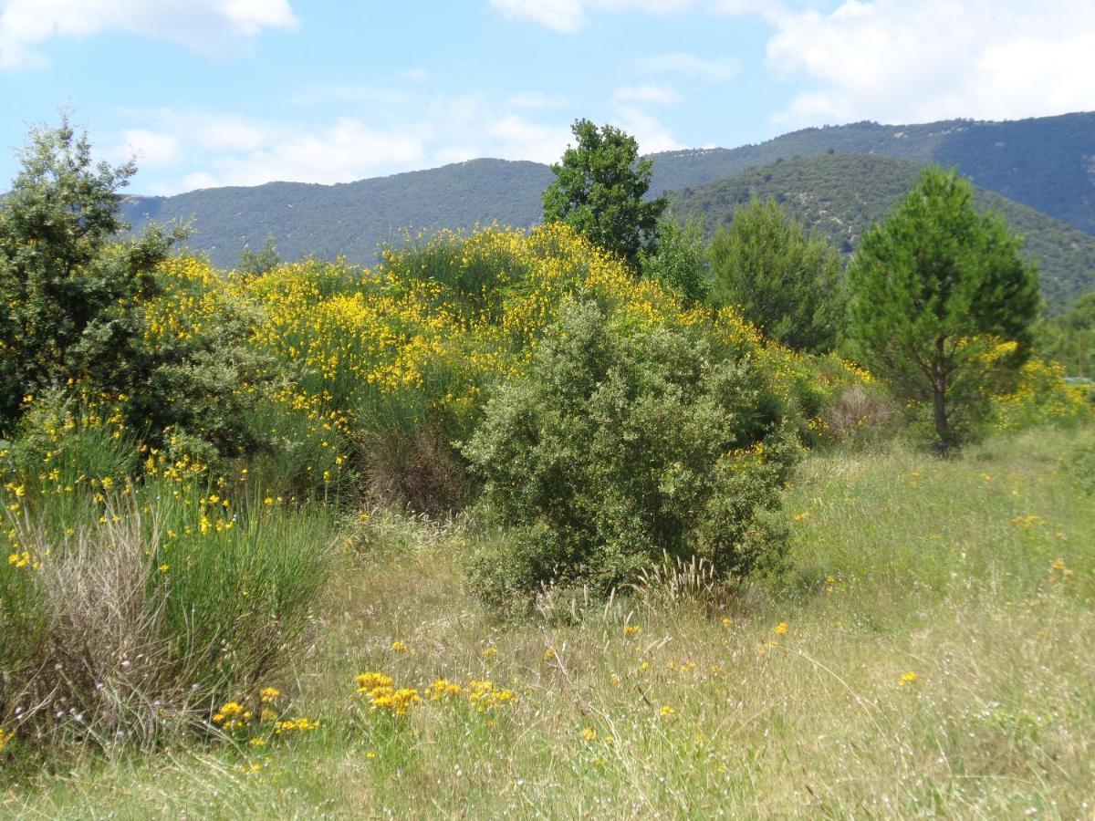 L'Eolyre Bed and Breakfast La Motte-d'Aigues Εξωτερικό φωτογραφία